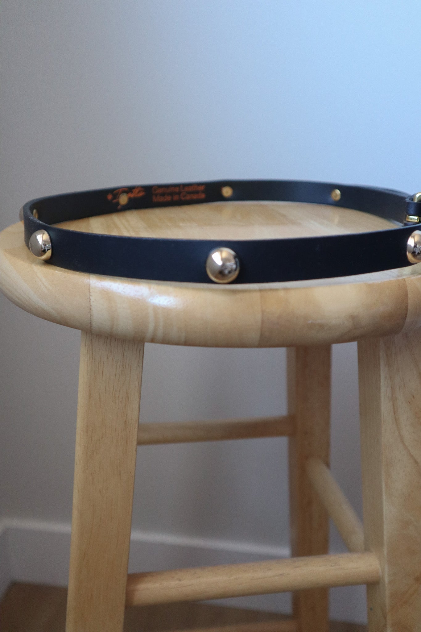 Made in Canada x Studded Leather Belt (M)