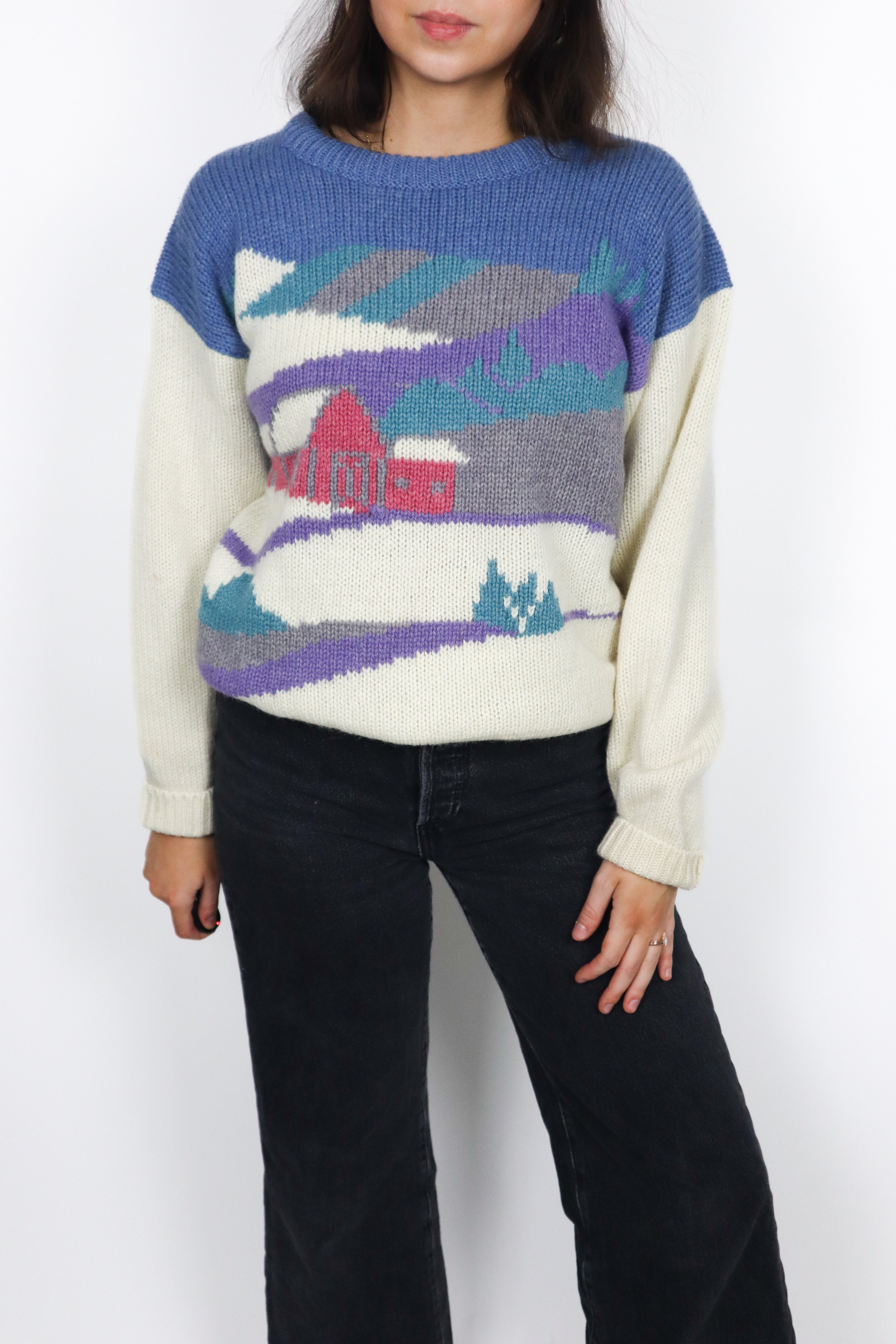Vintage x Wool Graphic Knit (S/M)