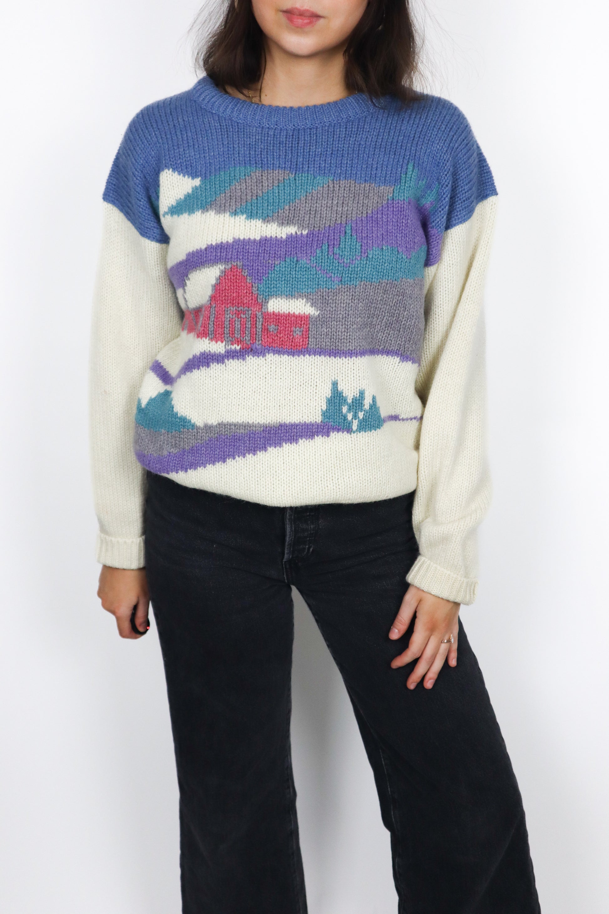 Vintage x Wool Graphic Knit (S/M)