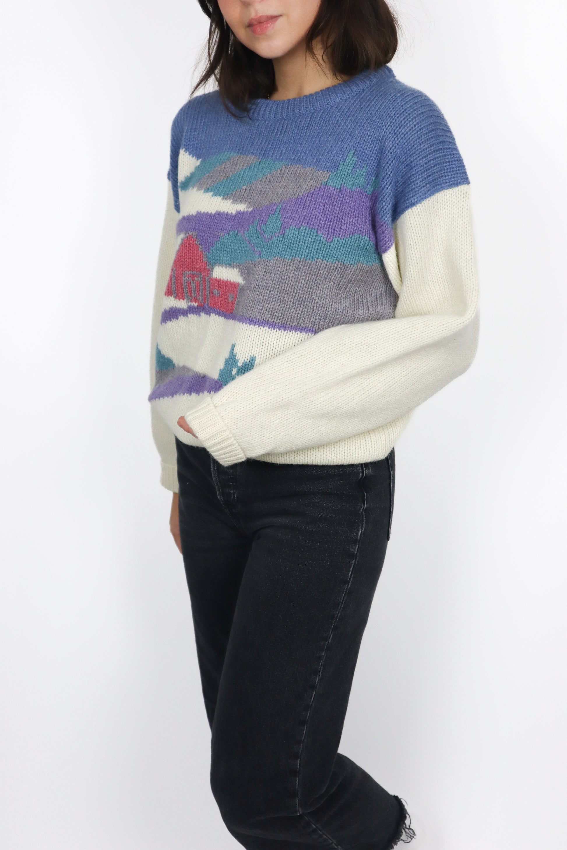 Vintage x Wool Graphic Knit (S/M)
