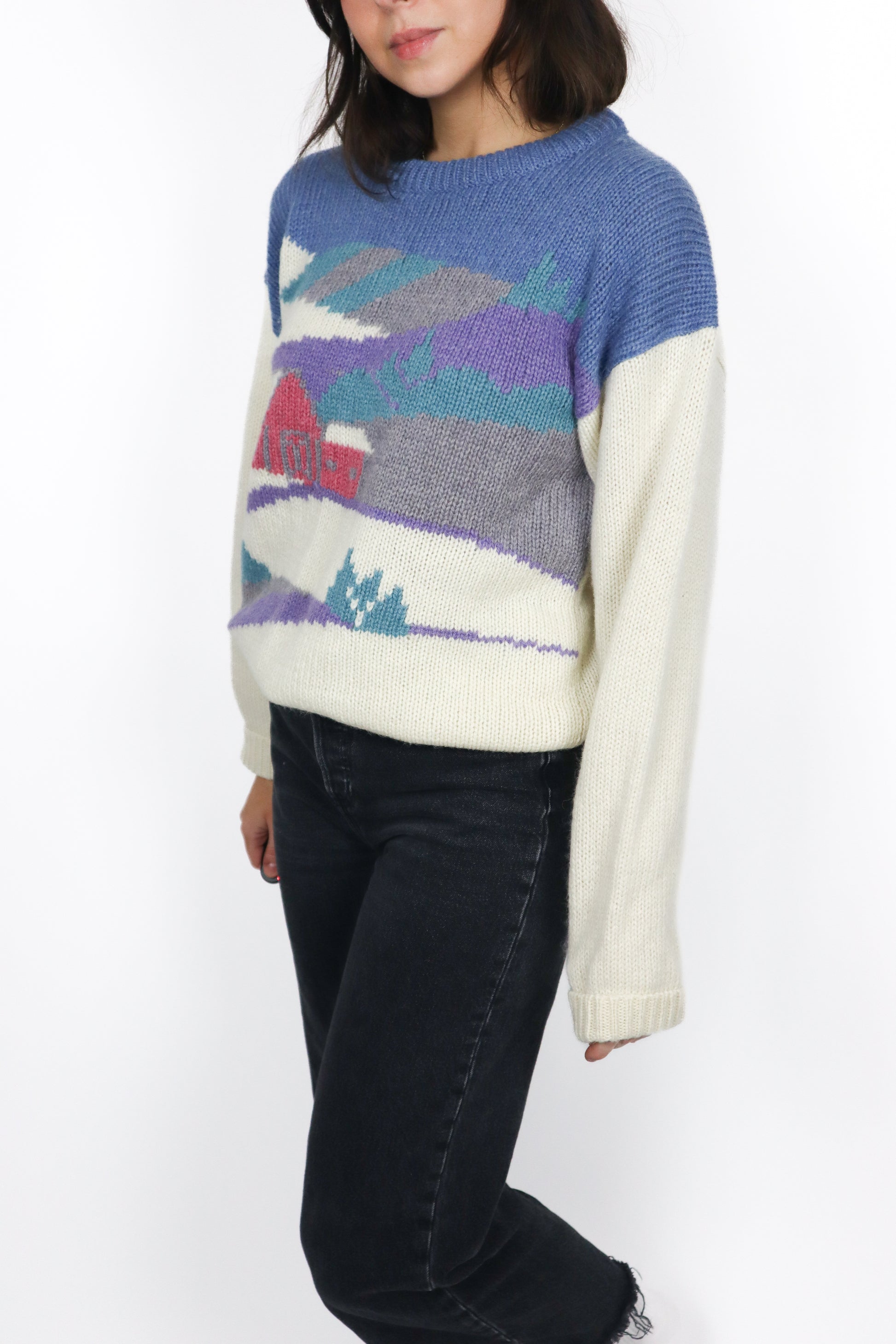 Vintage x Wool Graphic Knit (S/M)