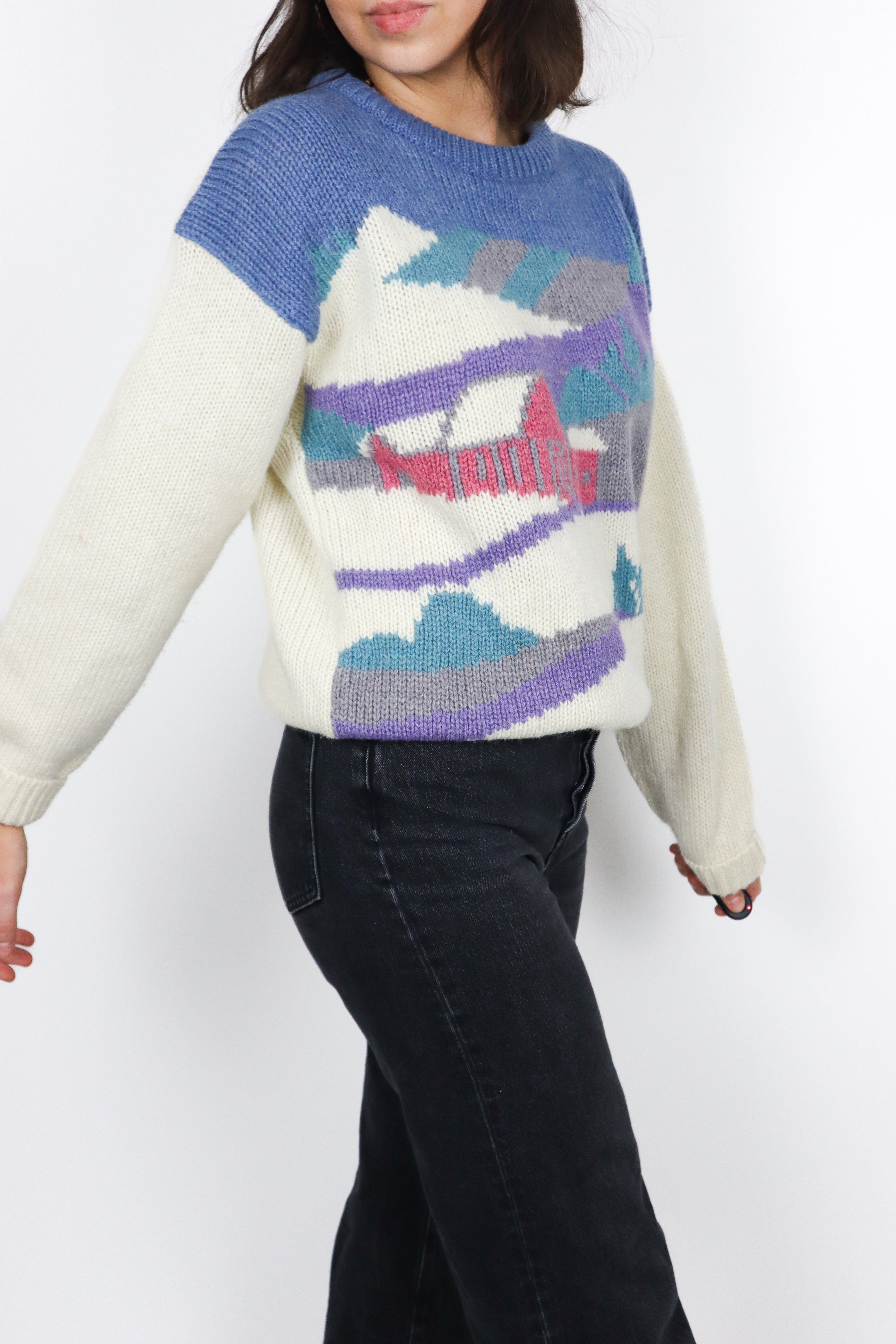 Vintage x Wool Graphic Knit (S/M)