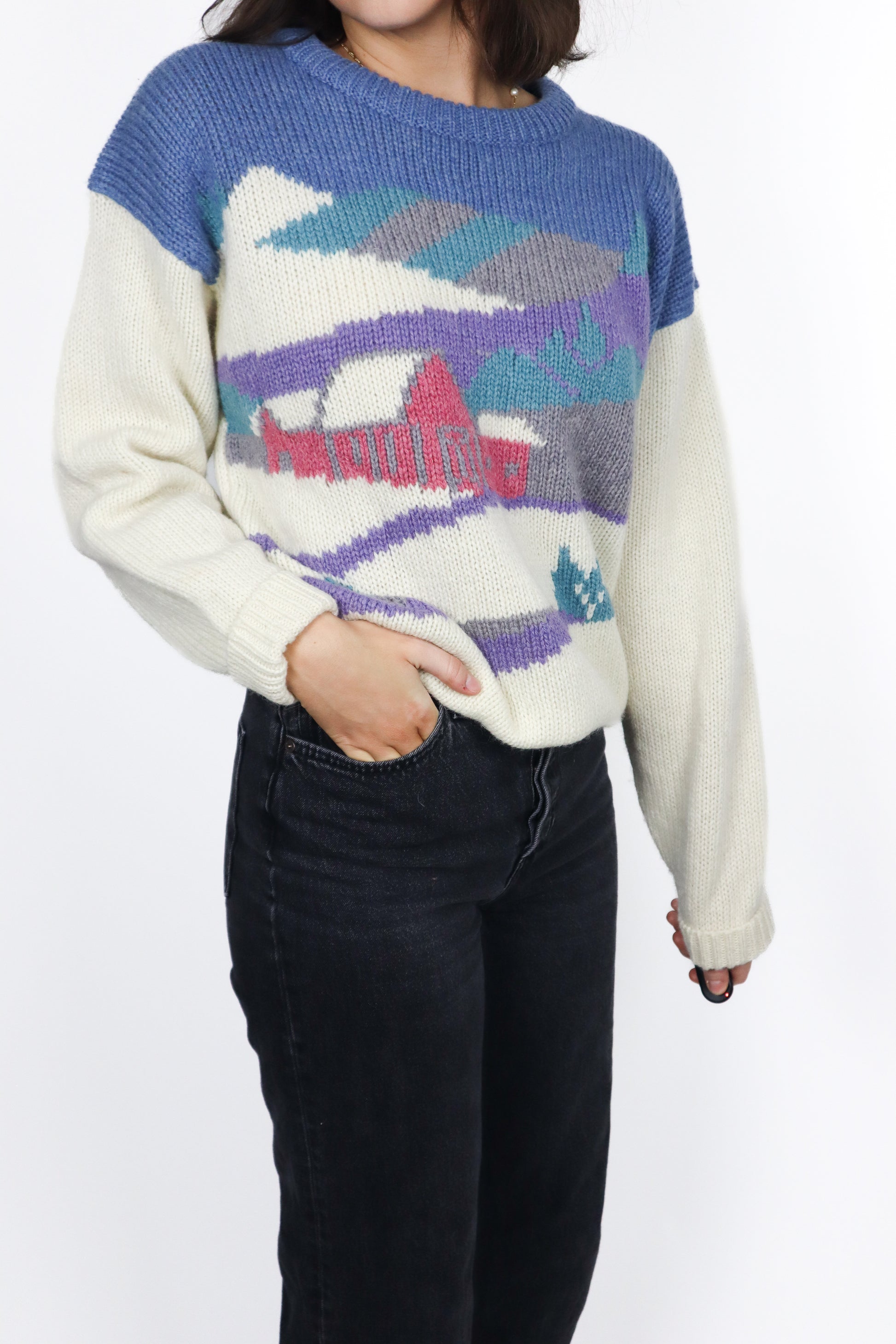 Vintage x Wool Graphic Knit (S/M)