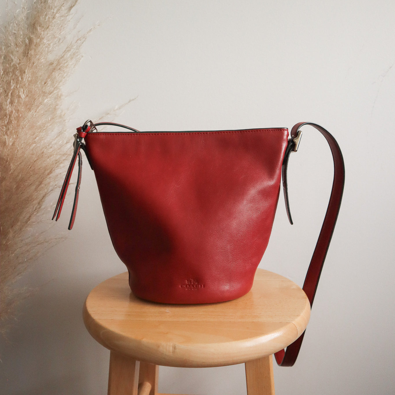 Coach x Leather Bucket Bag