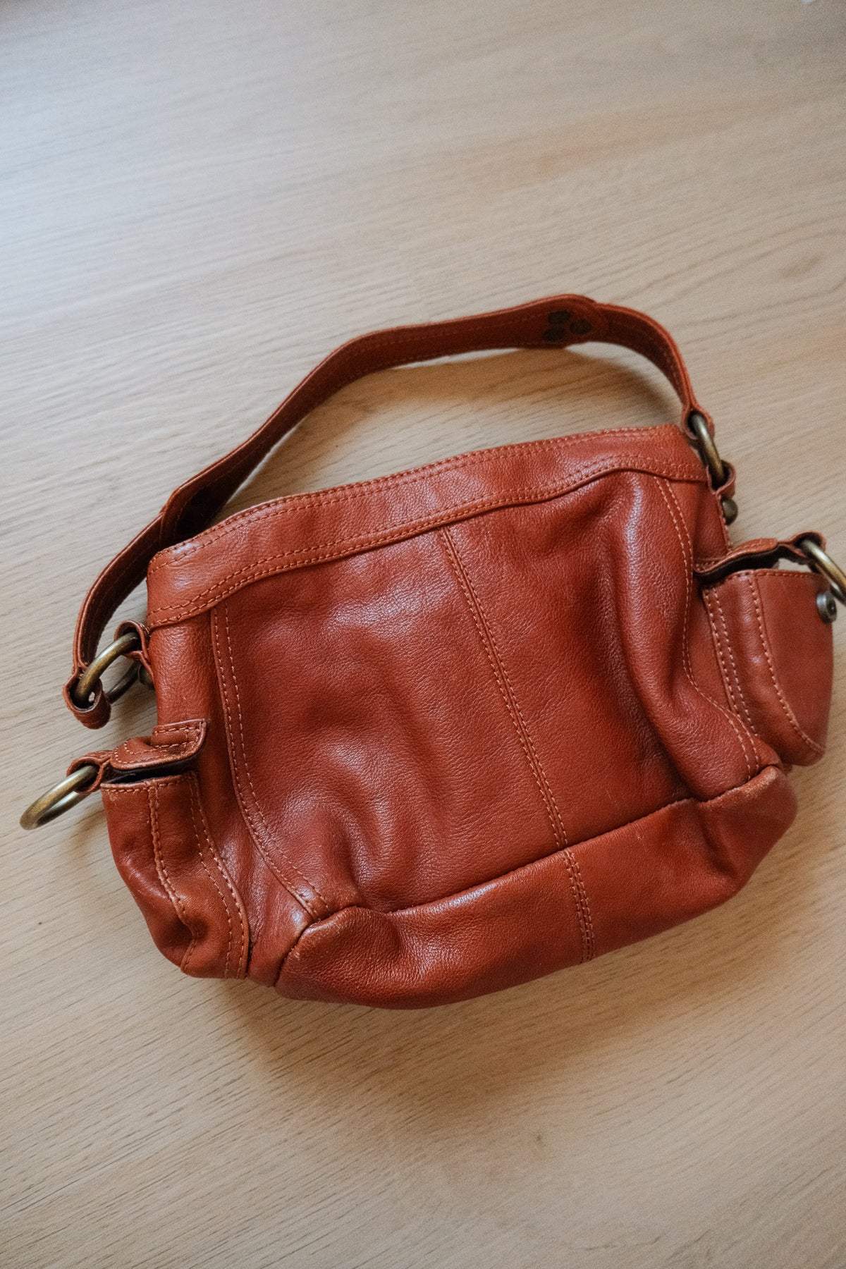 Danier x Leather Purse