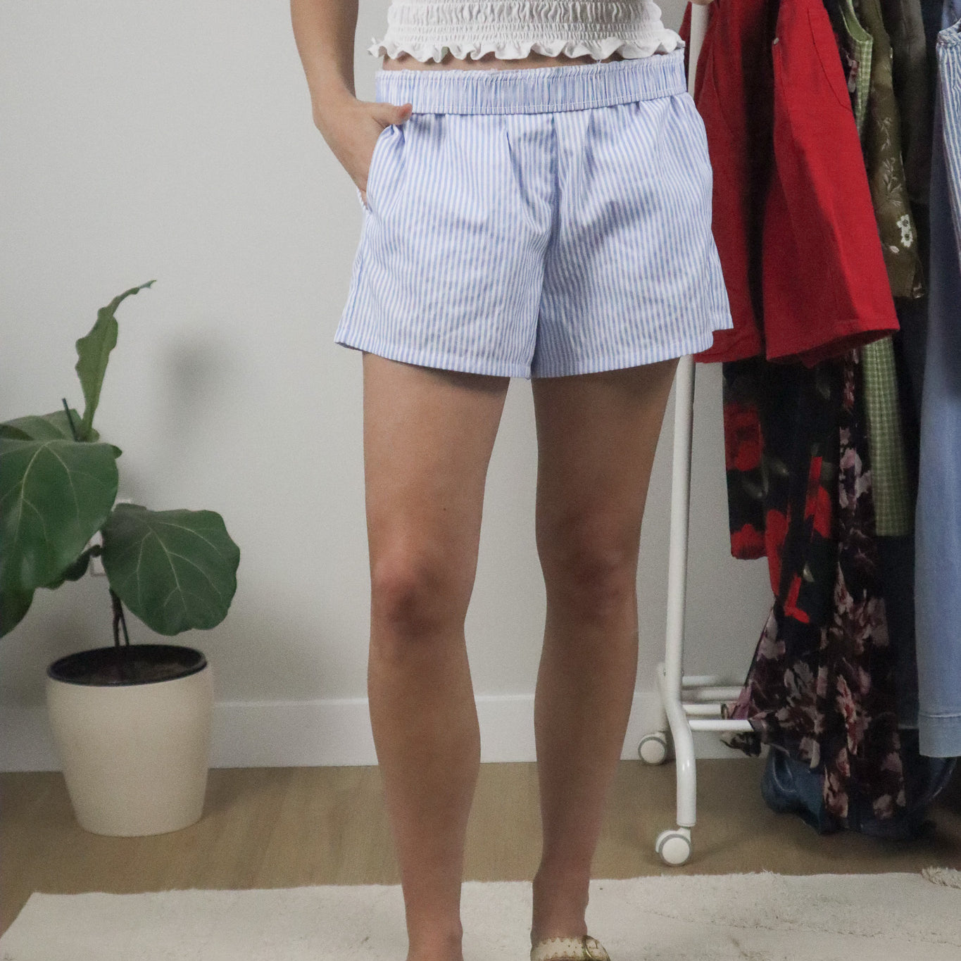 Modern x Pinstrip Shorts (L)