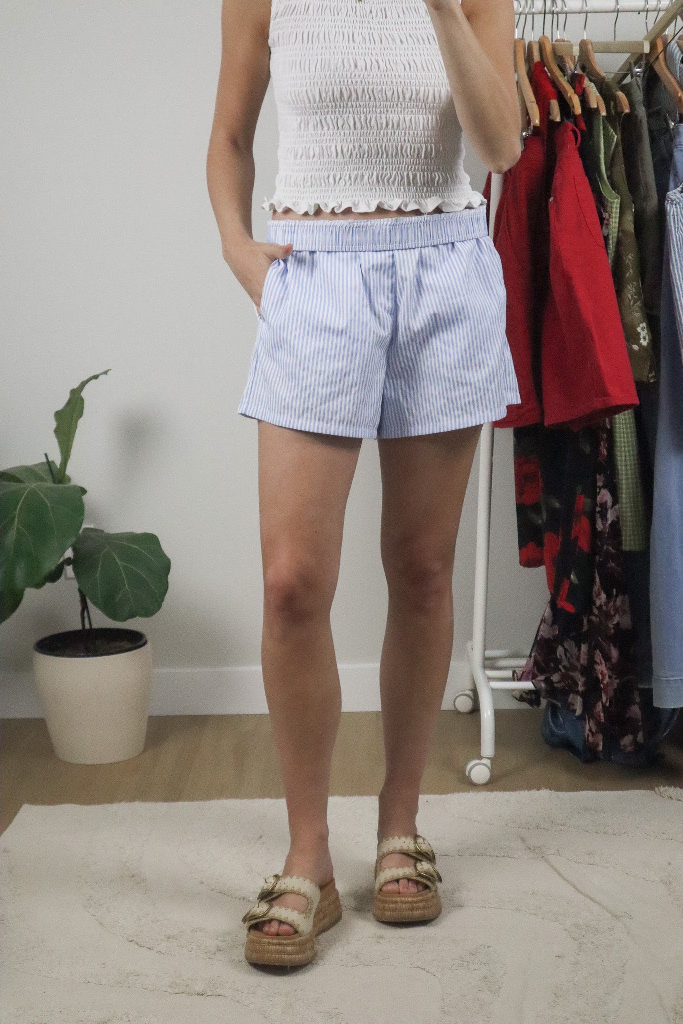 Modern x Pinstrip Shorts (L)