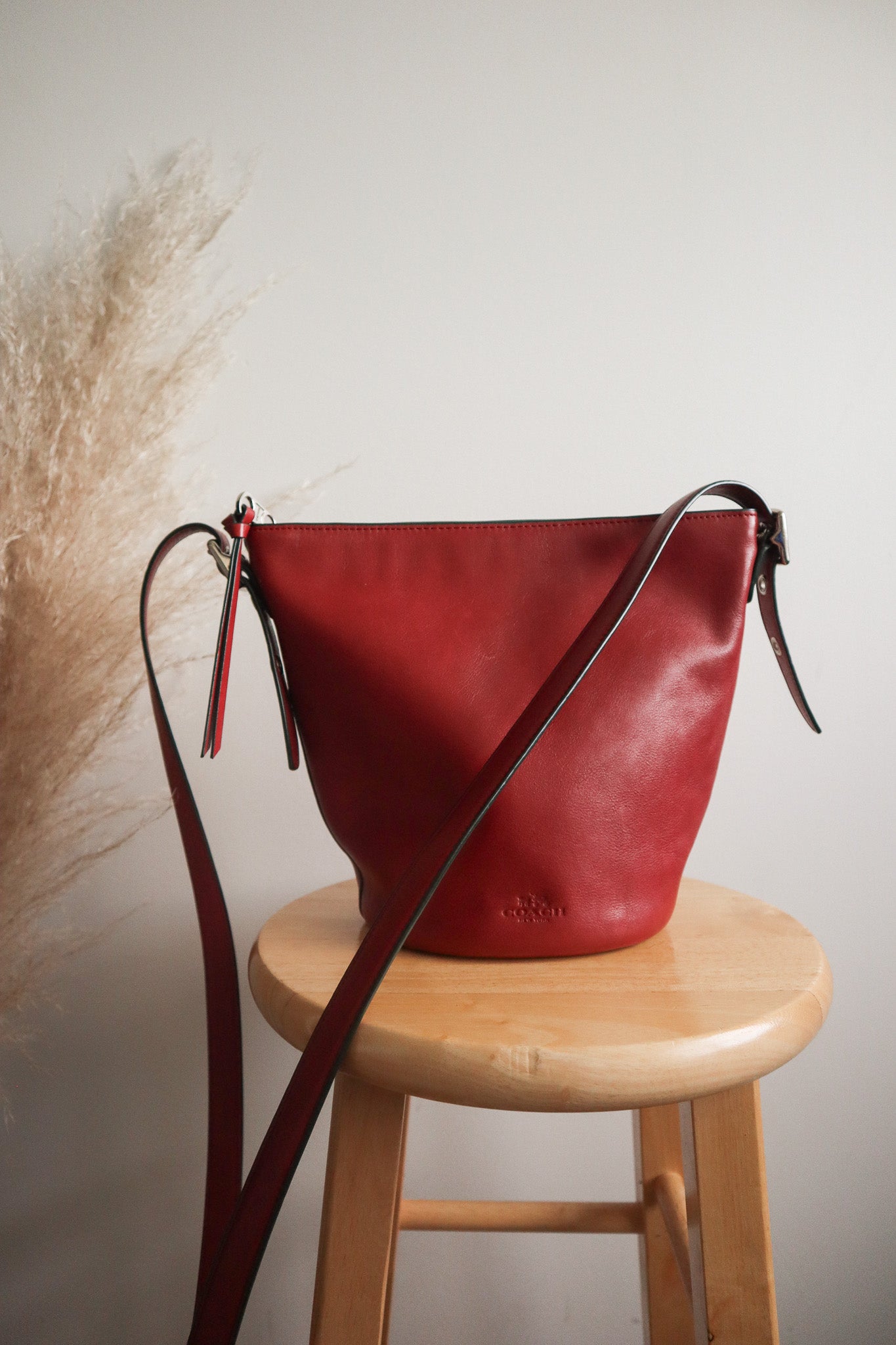 Coach x Leather Bucket Bag