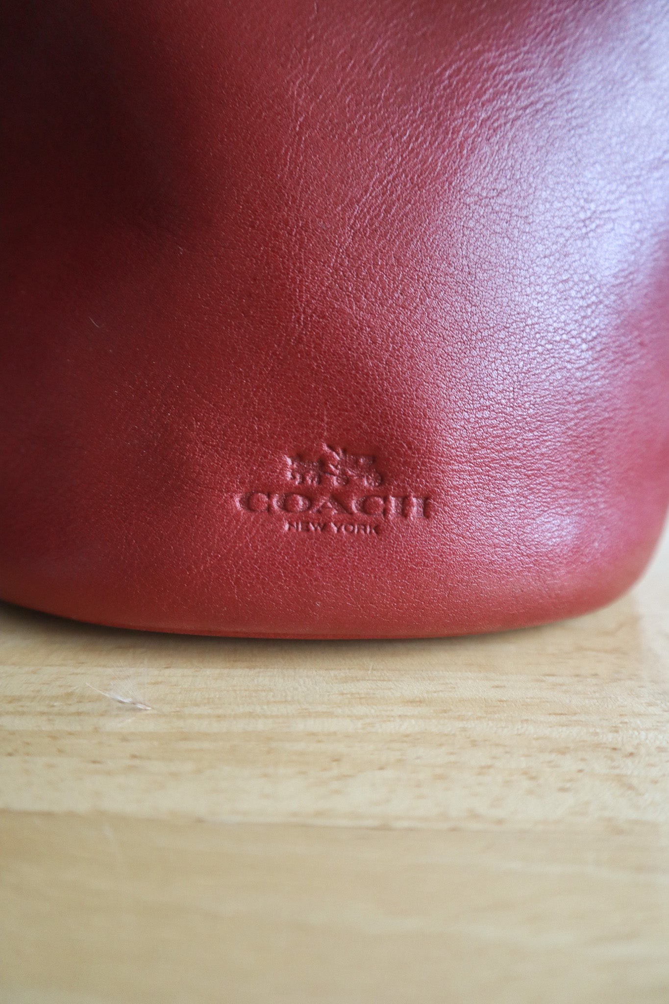 Coach x Leather Bucket Bag
