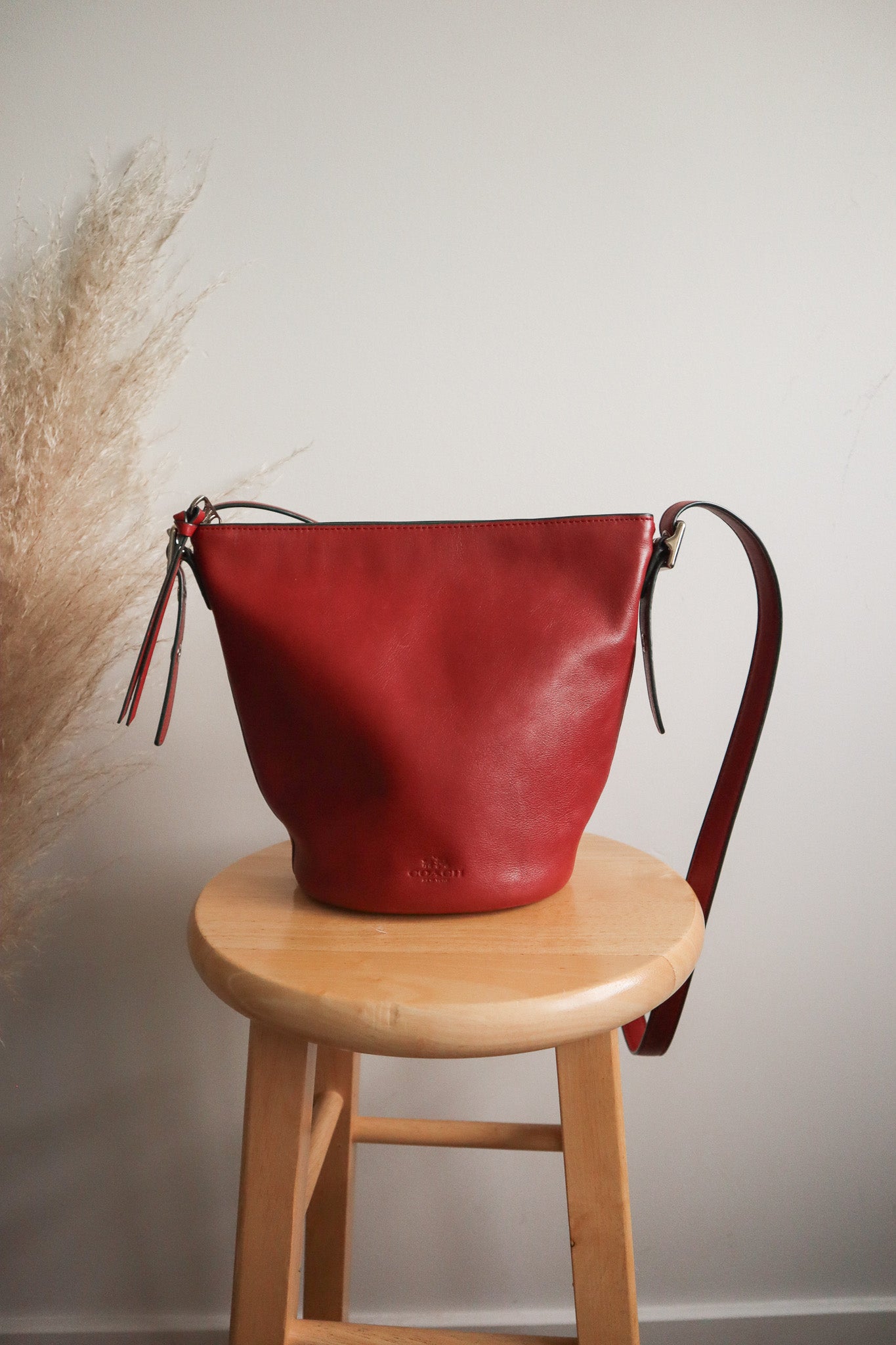 Coach x Leather Bucket Bag
