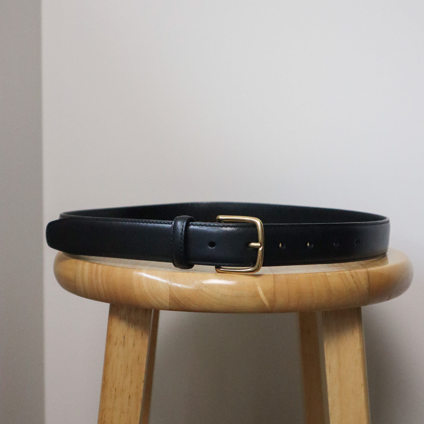 Aritzia x Leather & Brass Belt (L)