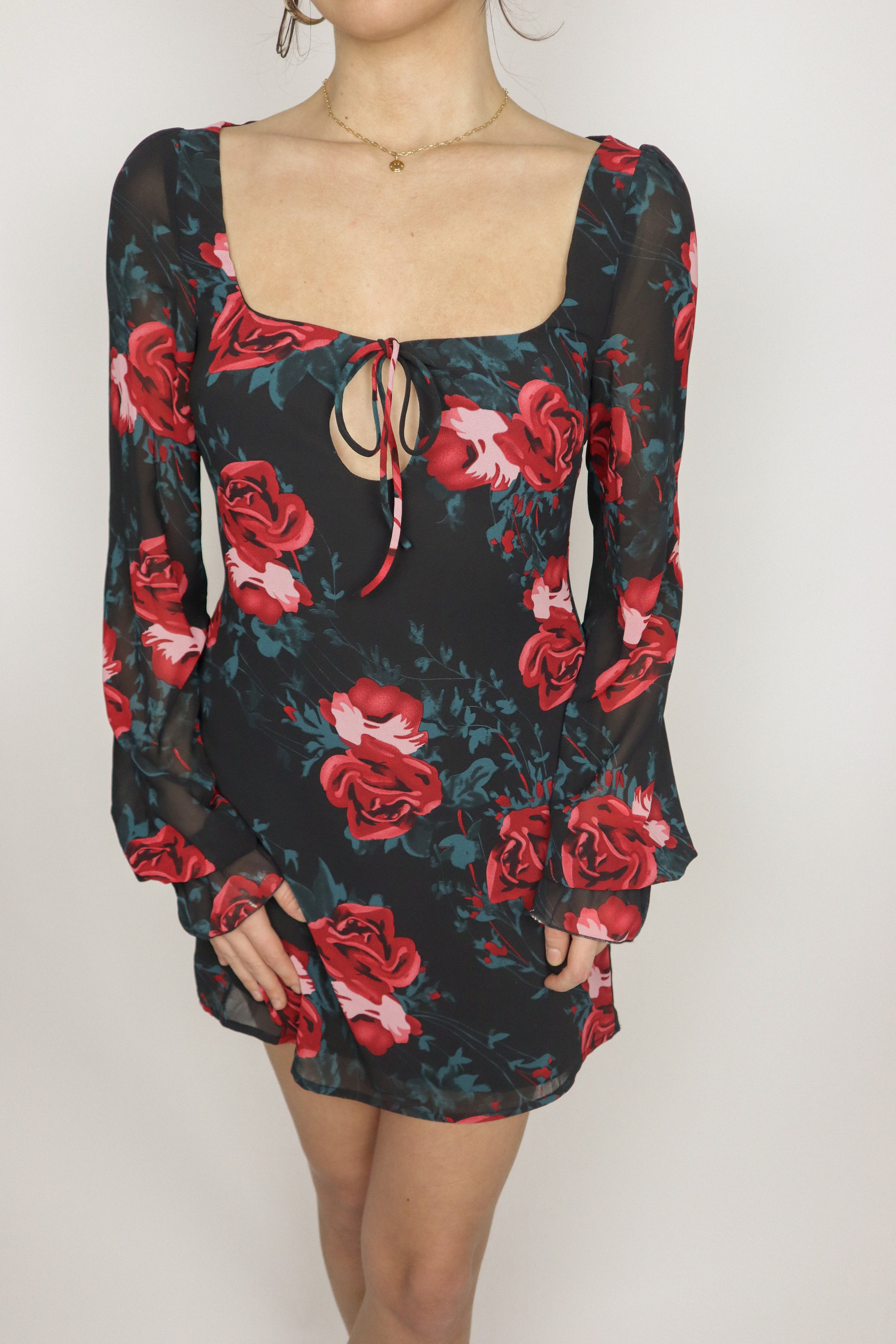 Modern x Rose Mini Dress (4/6)