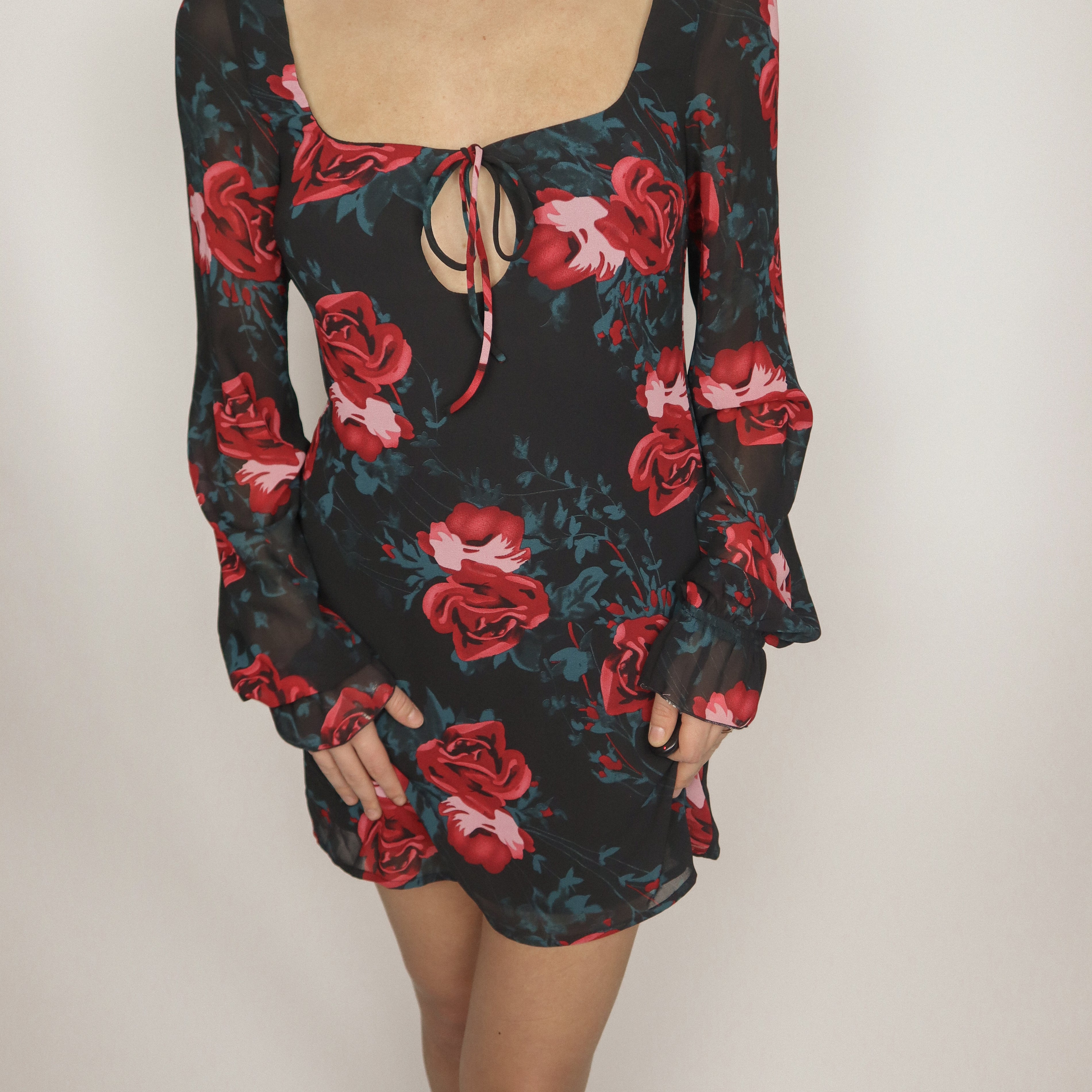 Modern x Rose Mini Dress (4/6)