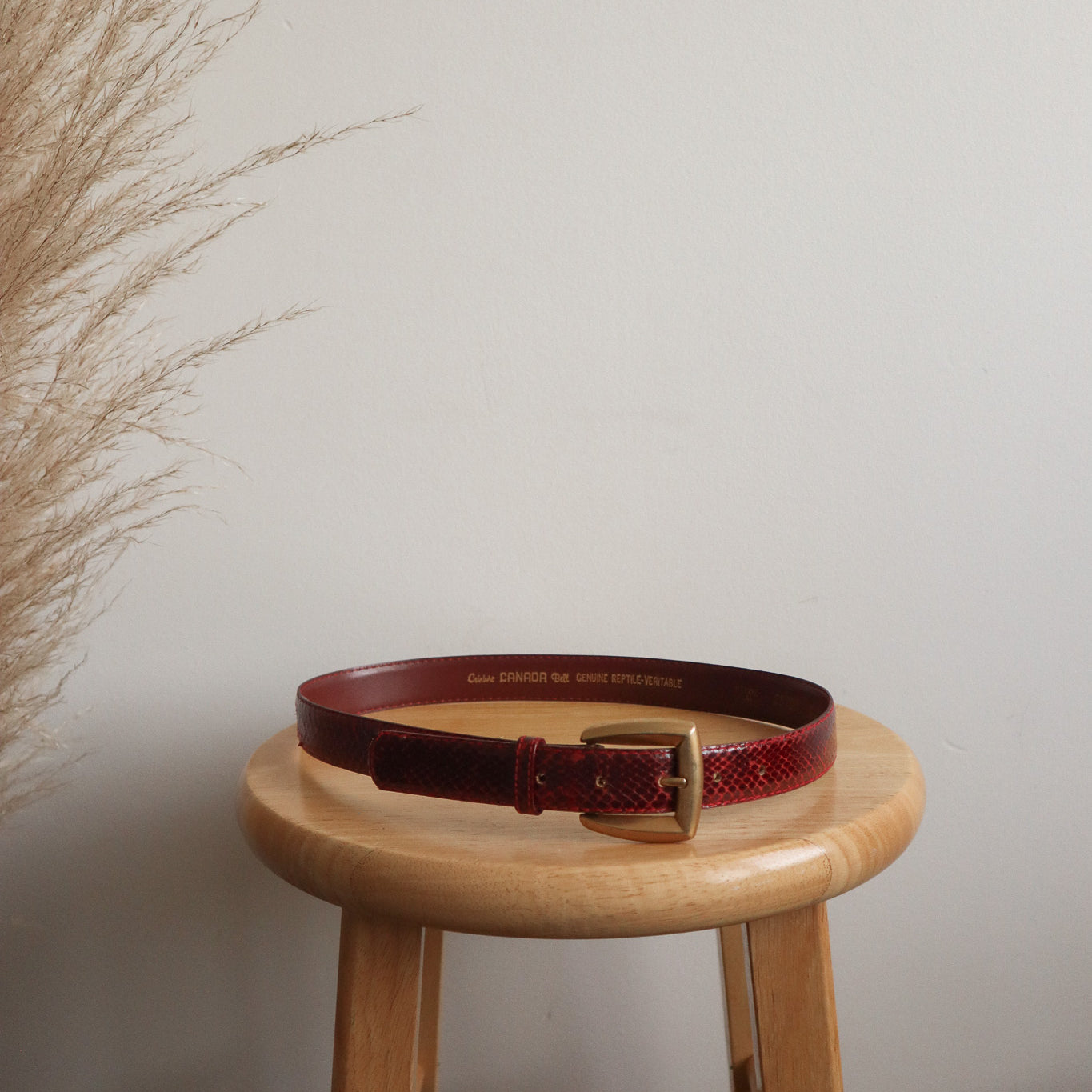 Vintage x Red Leather Belt (XS/S)