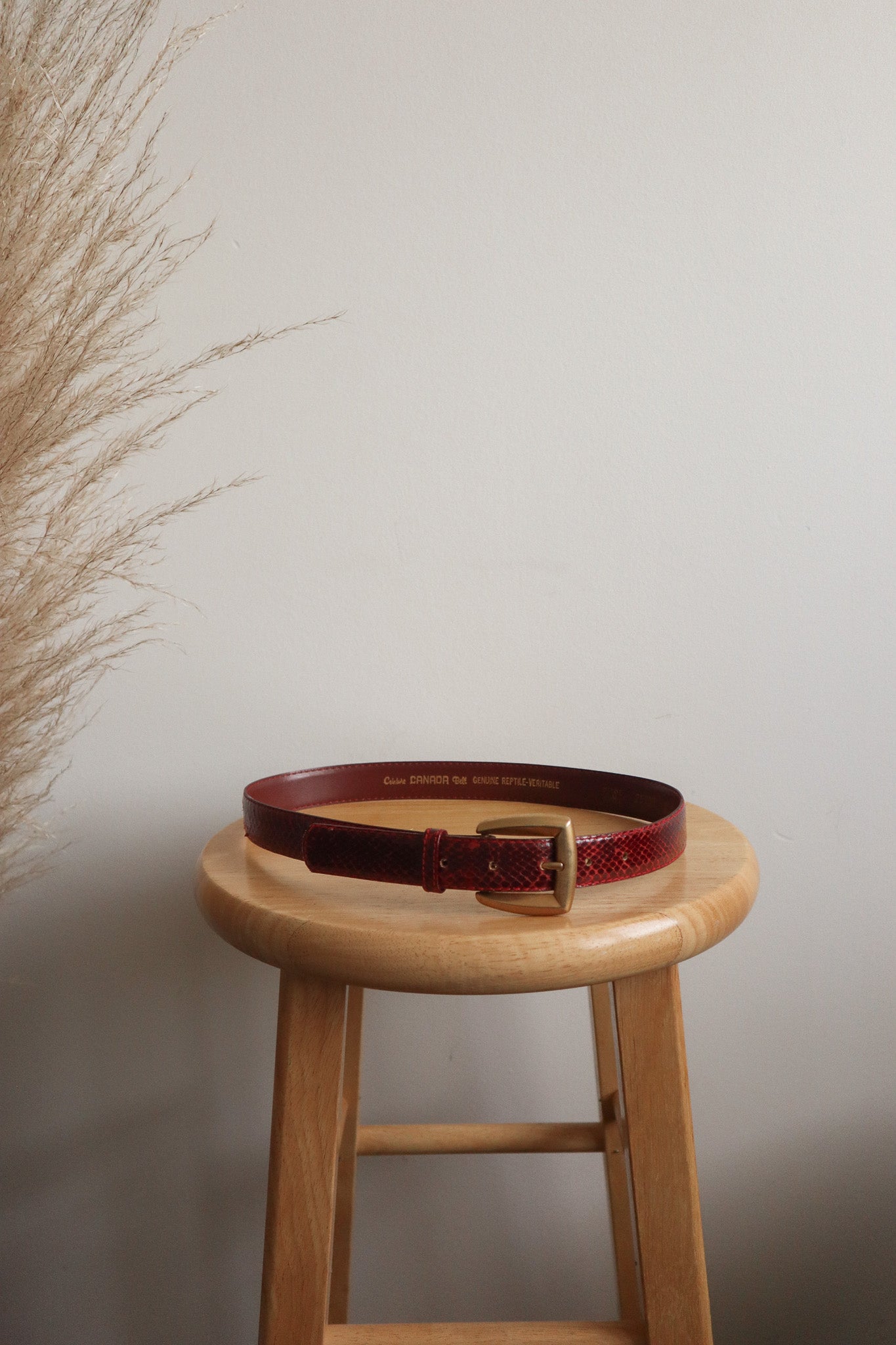 Vintage x Red Leather Belt (XS/S)