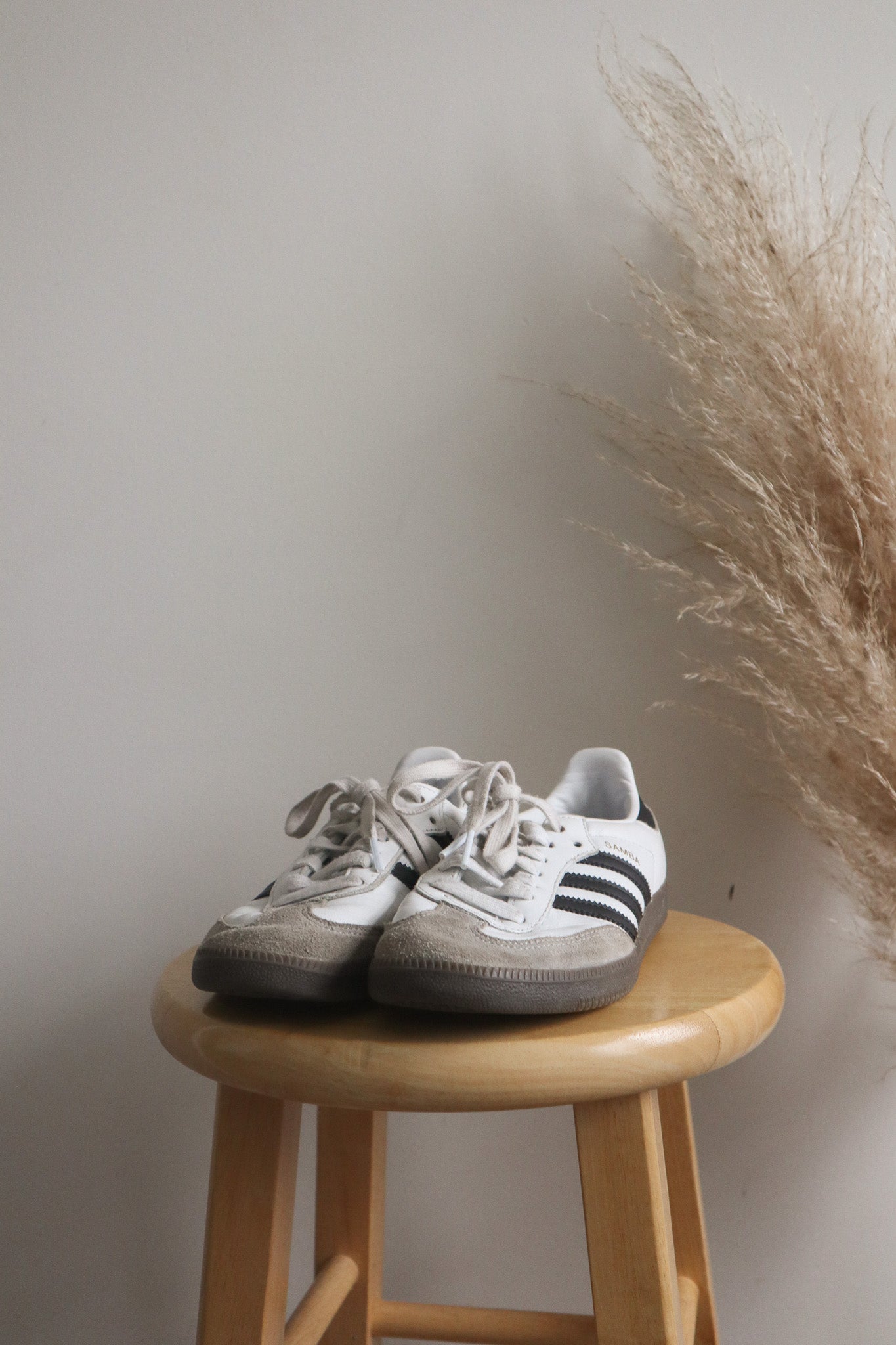 Adidas x Sambas (US7.5/8)