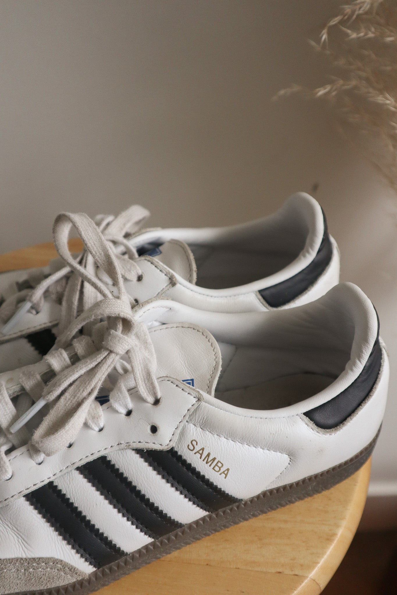 Adidas x Sambas (US7.5/8)