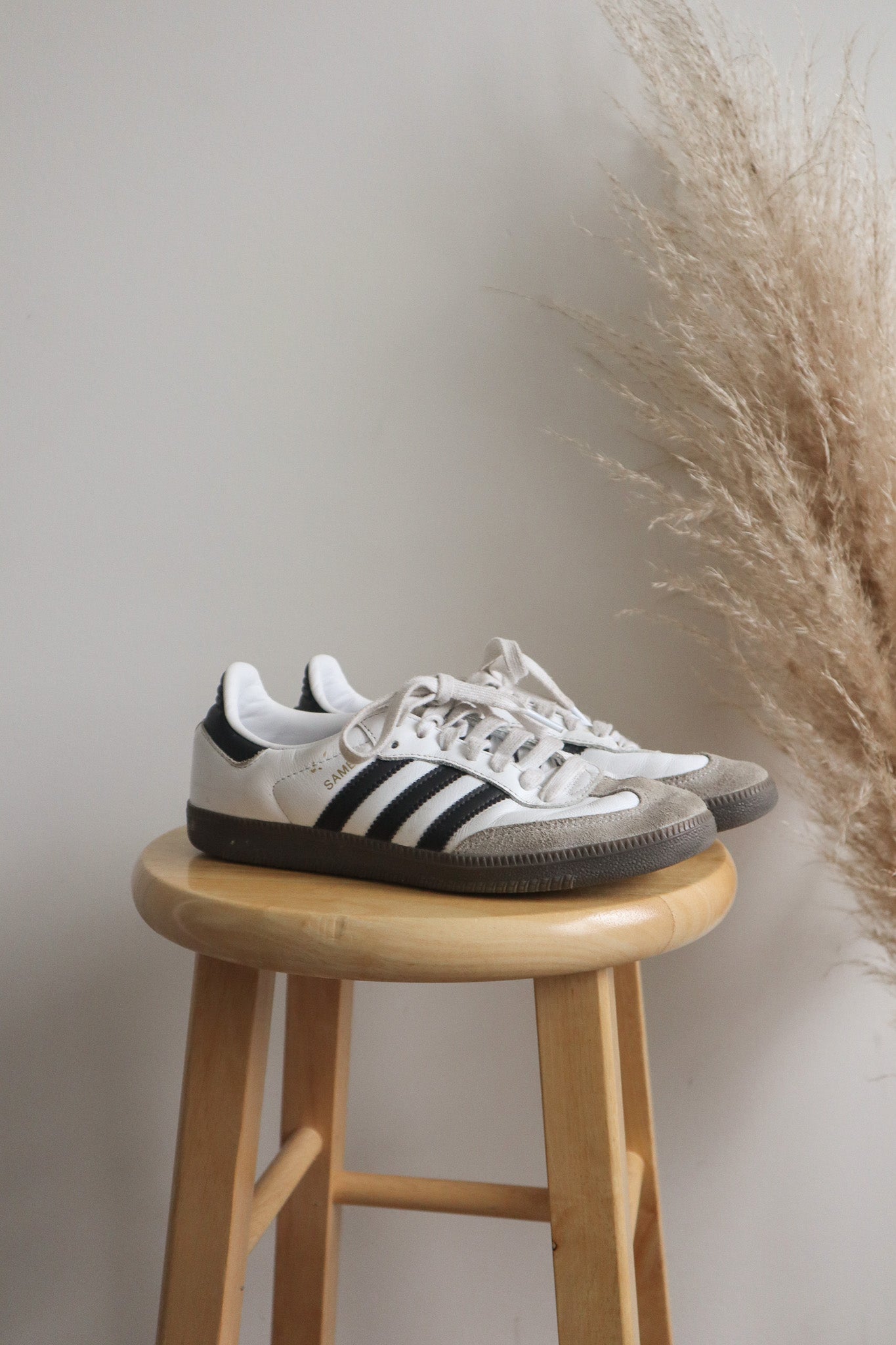Adidas x Sambas (US7.5/8)