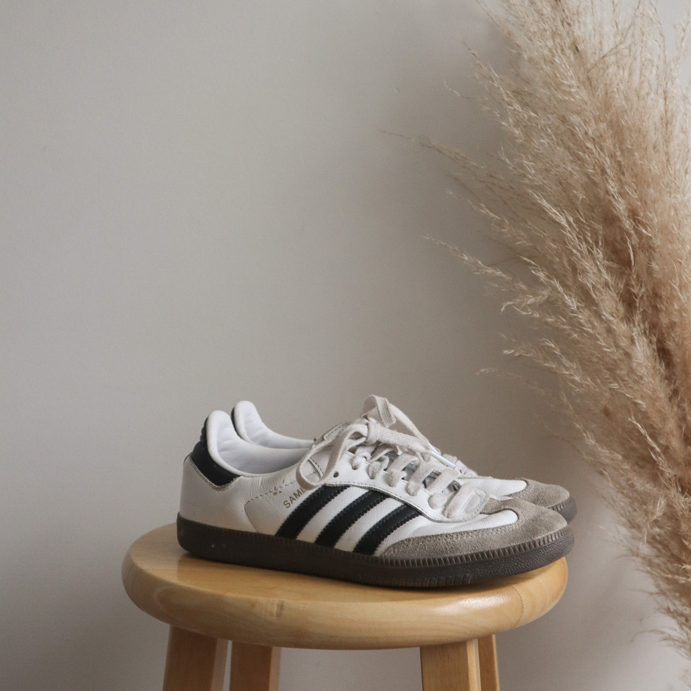 Adidas x Sambas (US7.5/8)