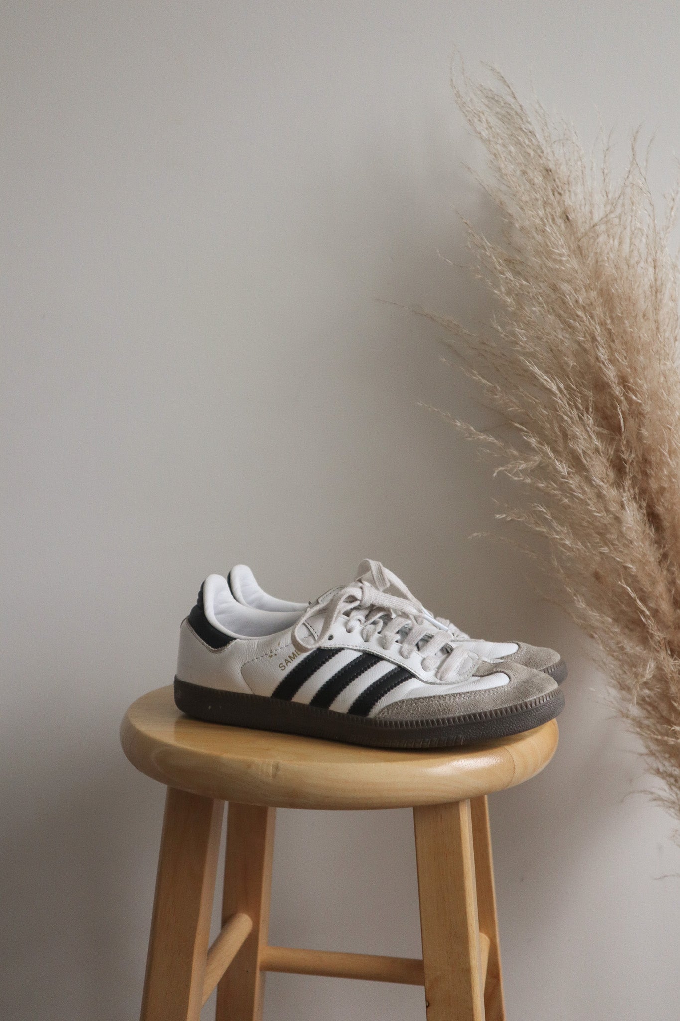 Adidas x Sambas (US7.5/8)